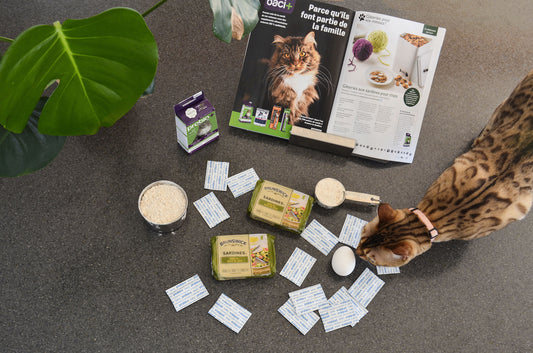 Gâteries aux sardines pour chats