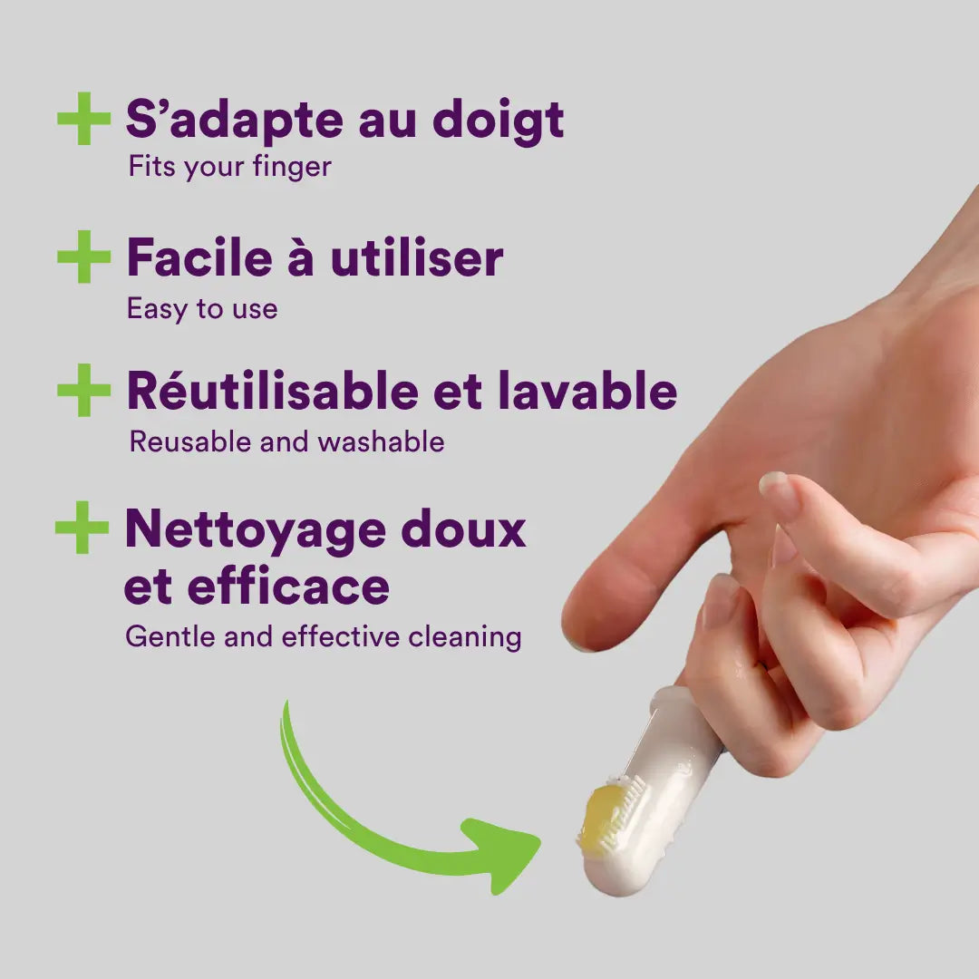 buco+ brosses à doigt