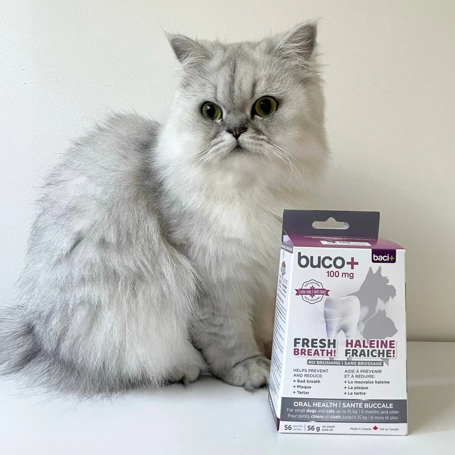 buco+ haleine fraîche et dents saines pour chats et chiens