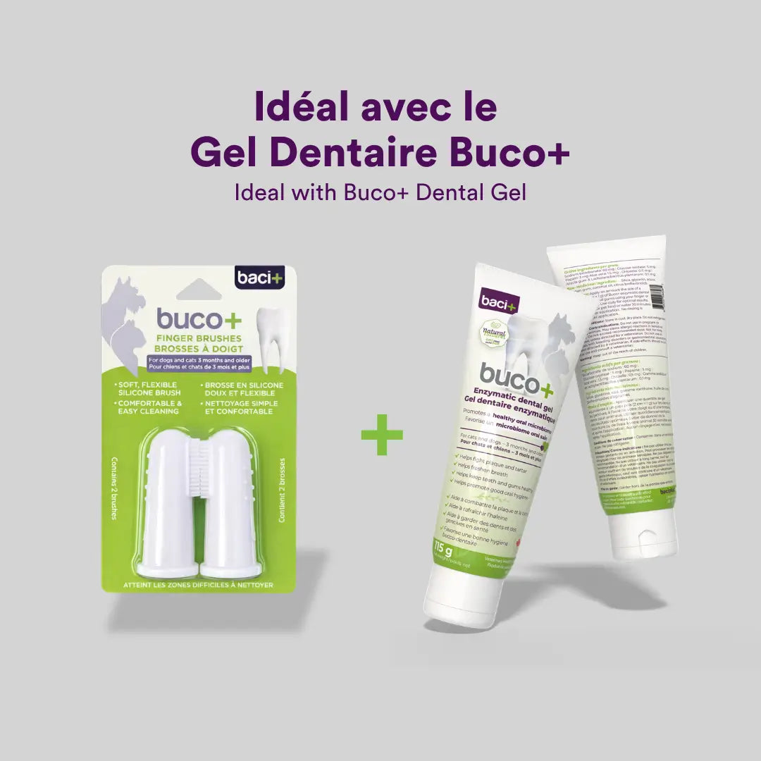 buco+ brosses à doigt