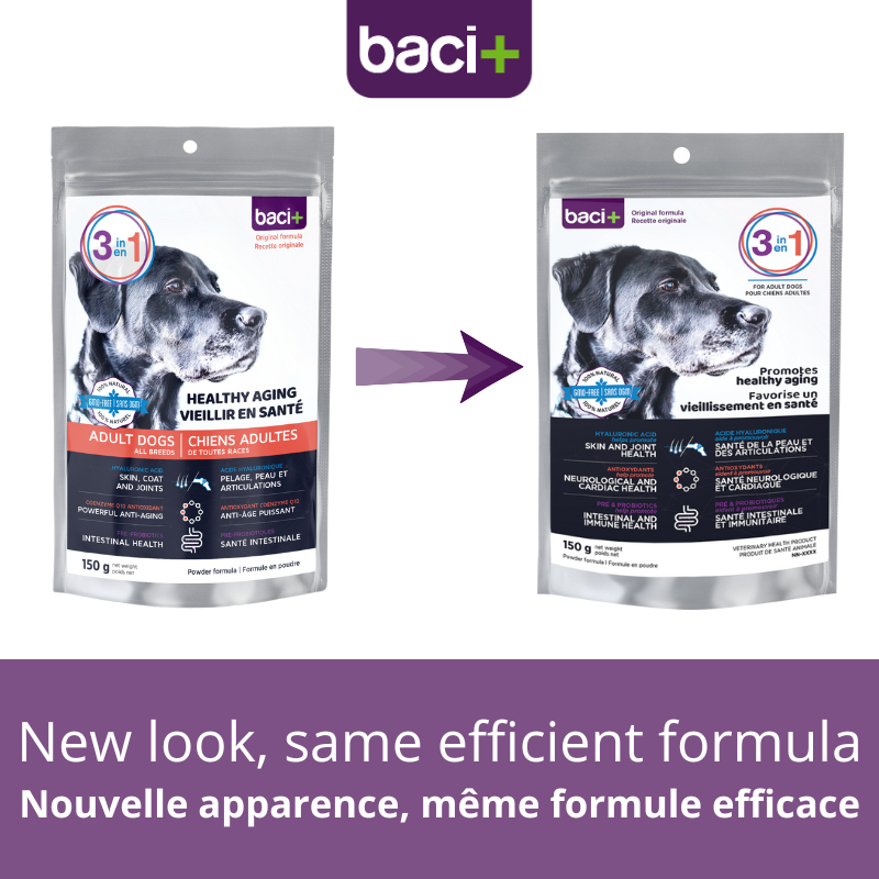 3 en 1 Vitalité, articulations et digestion pour chiens