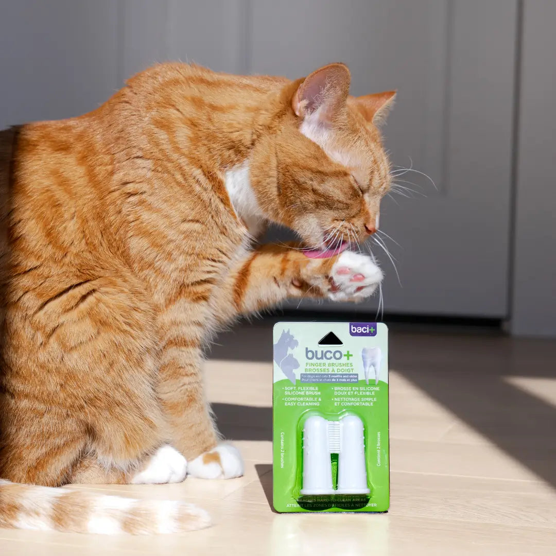 buco+ brosses à doigt