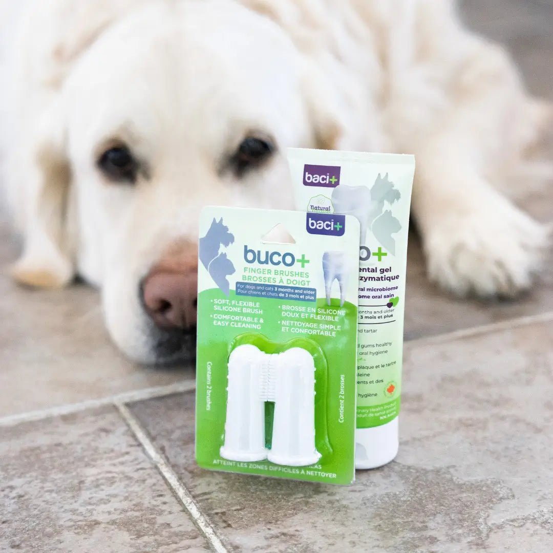 buco+ brosses à doigt