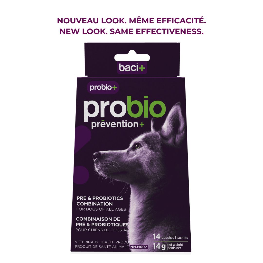 baci+ probio+ Pour Chiens