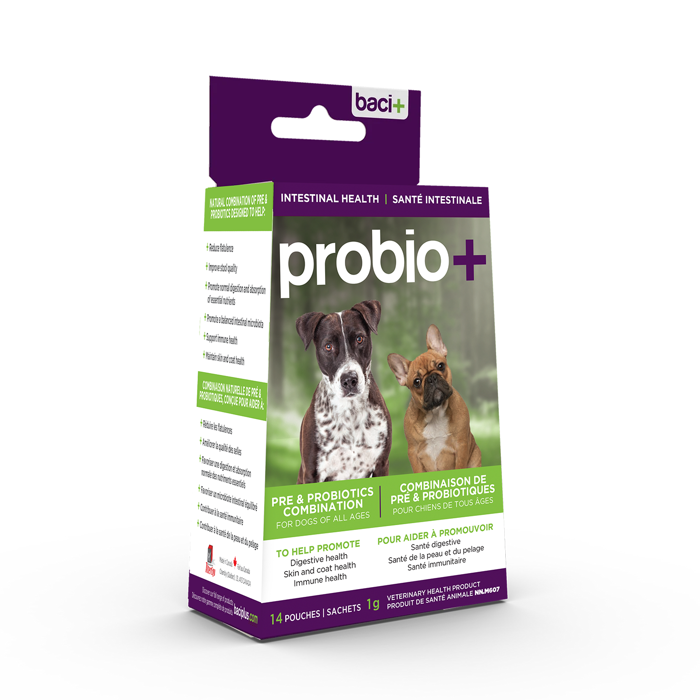 Dogs and probiotics best sale