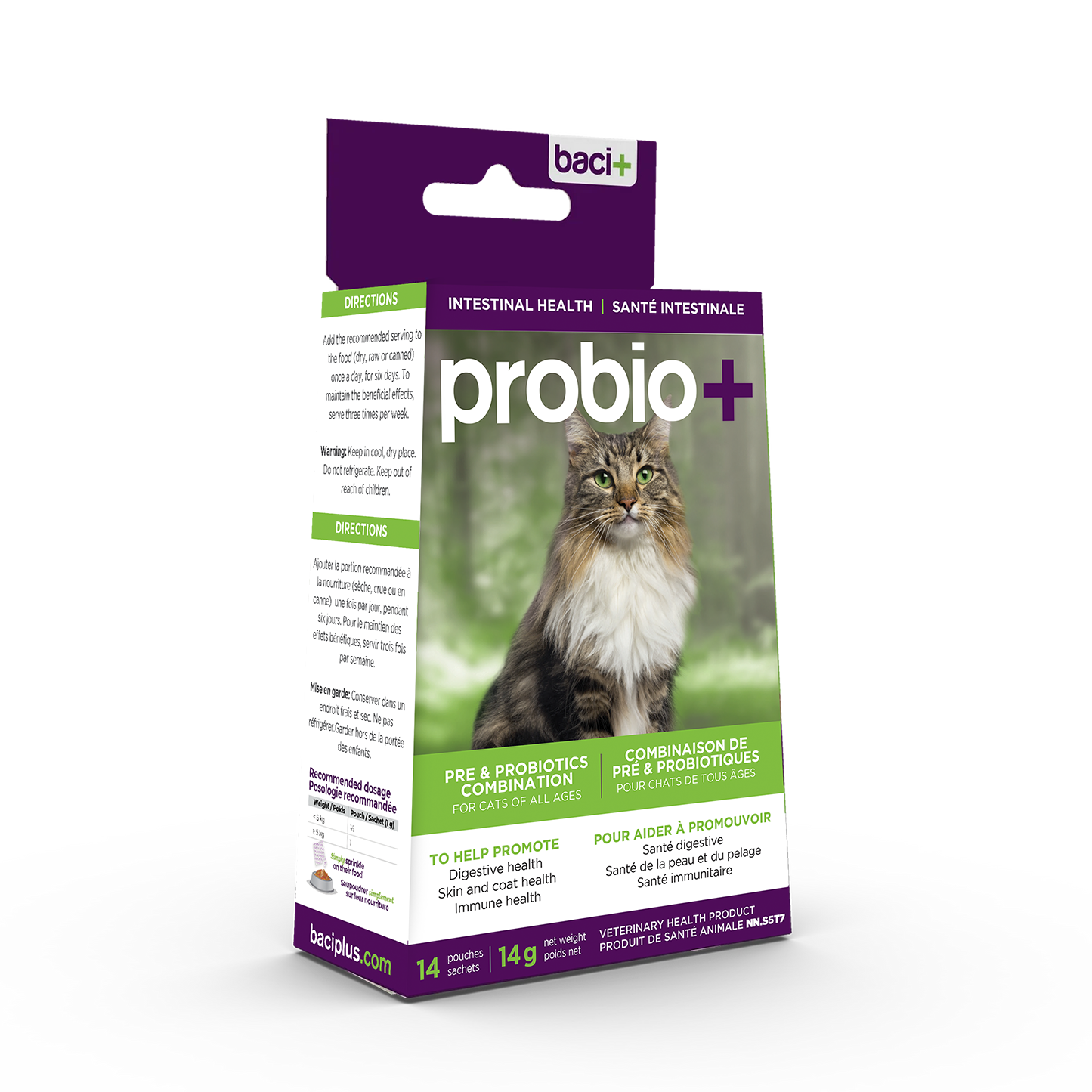 Pre and probiotics Prevention and maintenance Cats
