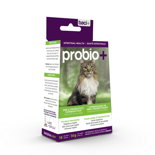 Pre and probiotics • Prevention and maintenance  | Cats