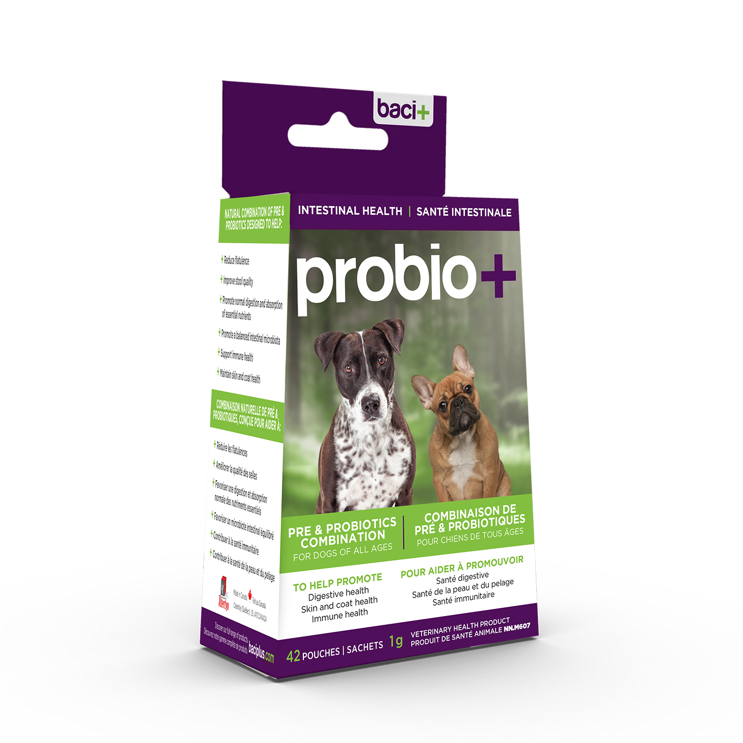 probio+ Santé digestive et immunité pour chiens