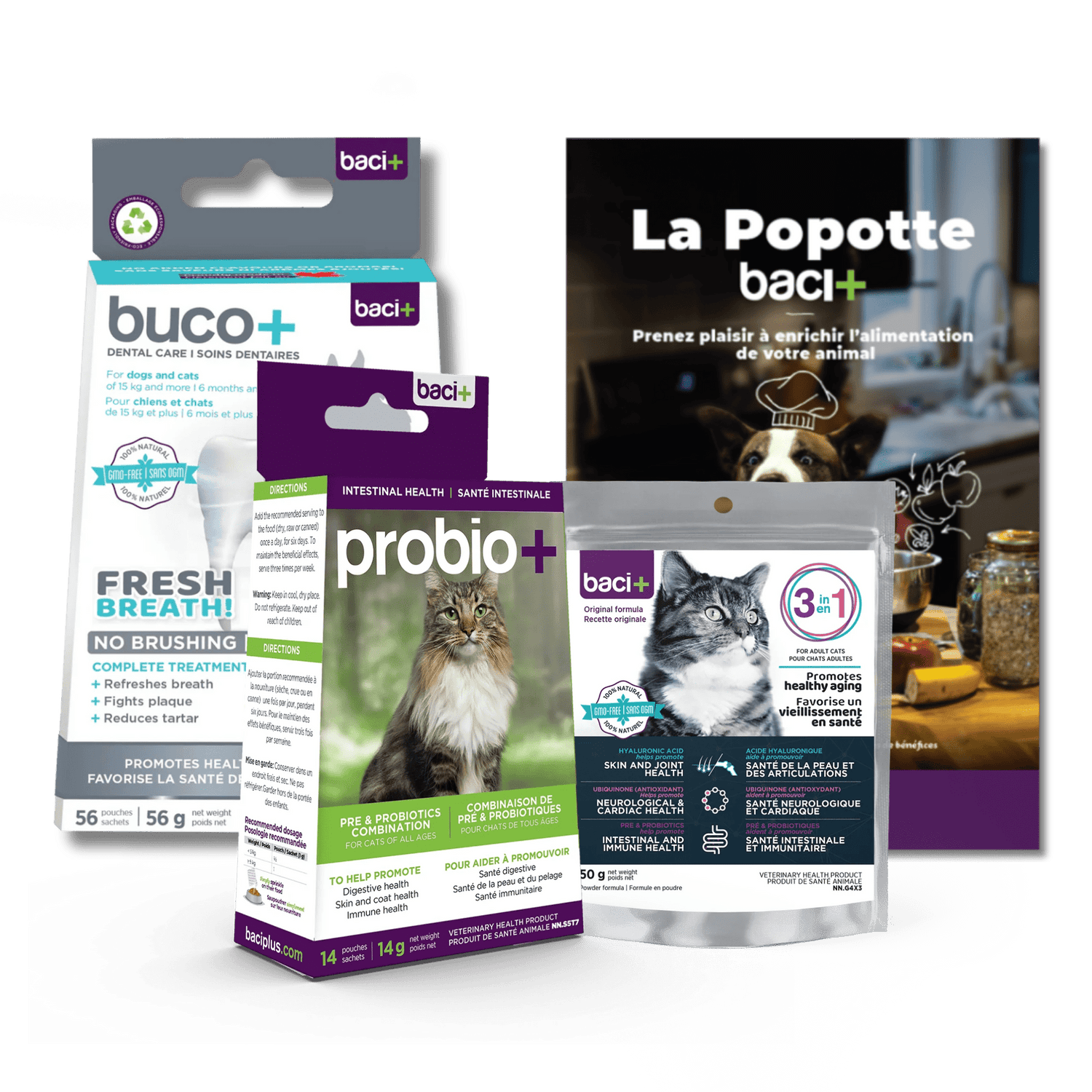 Trousse Santé Intégrale : Santé buccodentaire, globale & immunité pour chats