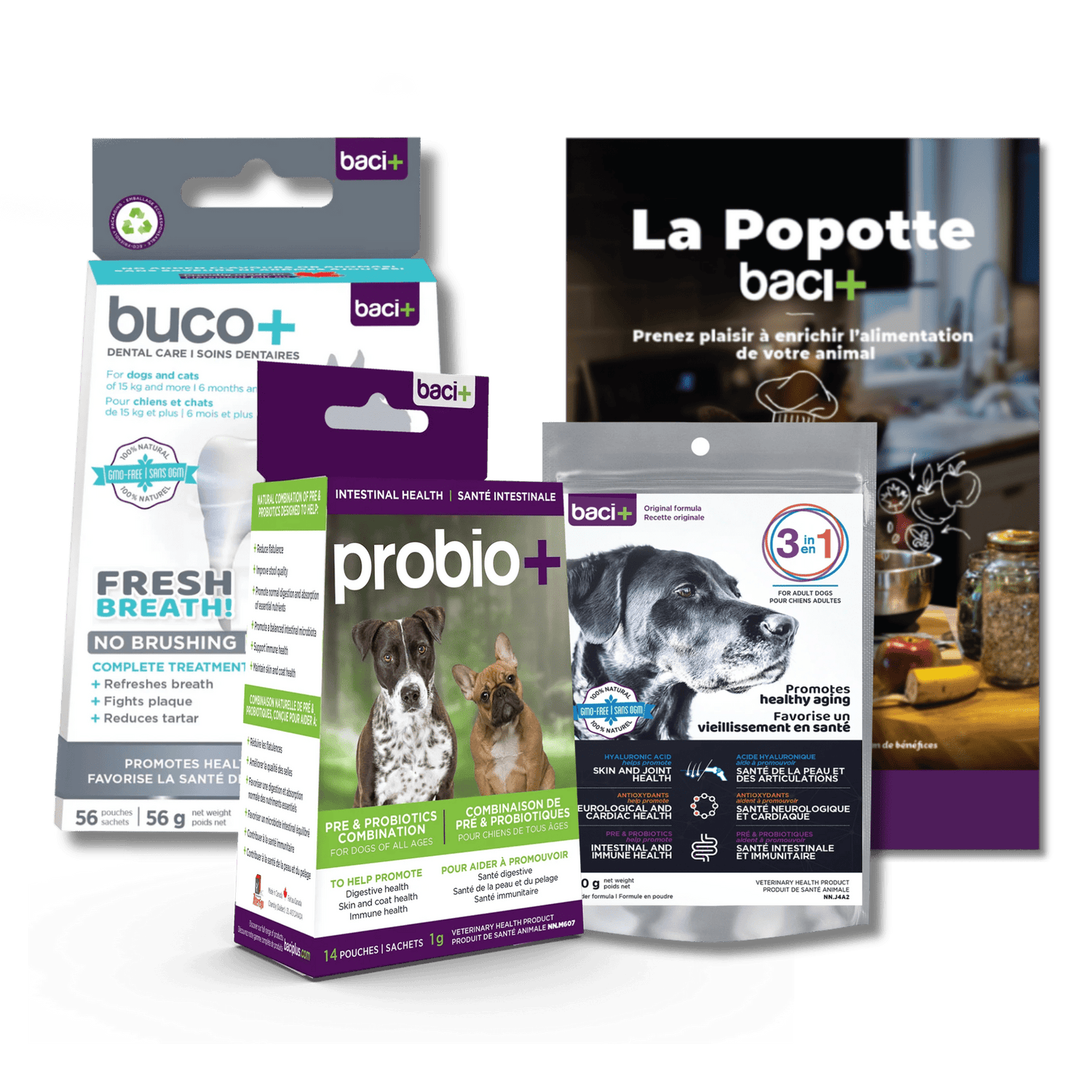 Trousse Santé Intégrale : Santé buccodentaire, globale & immunité pour chiens