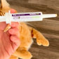 Pre and probiotics paste | Cats