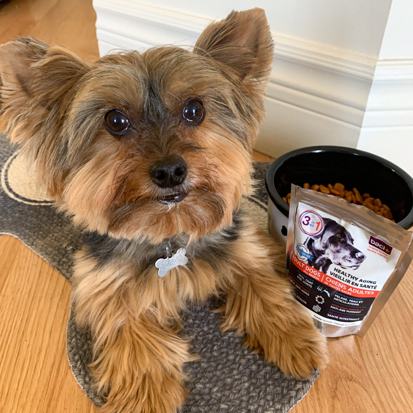 3en1 | santé articulaire • santé intestinale • santé cardiaque | chiens