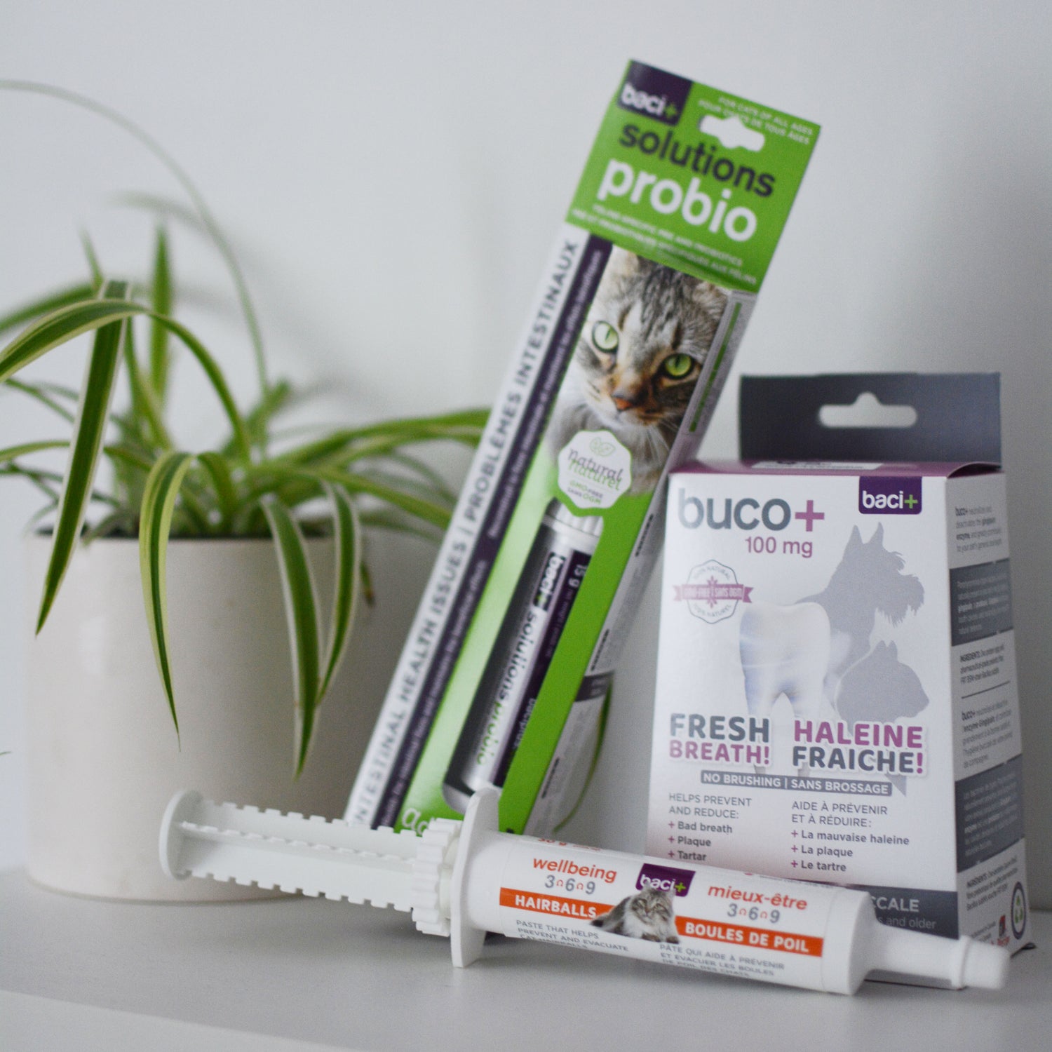 trousse de soins chatons de 6 à 12 mois