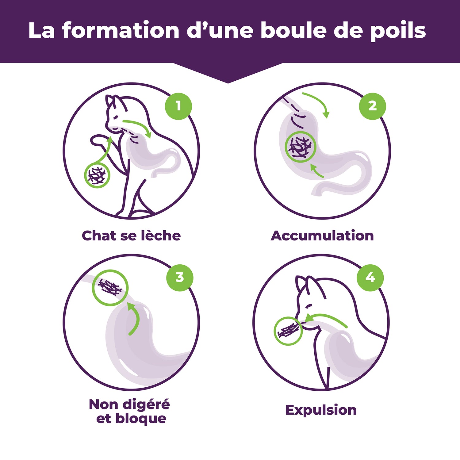 Boules de poils Original Contrôle & pelage sain