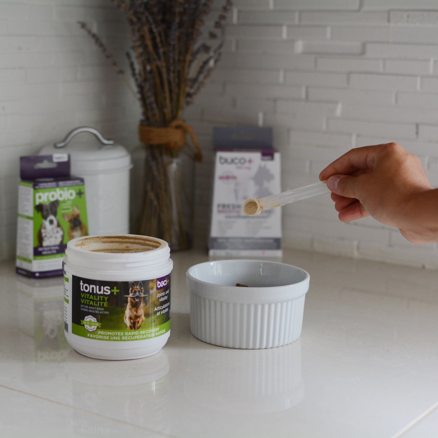 Vitality • Recovery • Joints care • Gut health • Oral care | Adult dogs