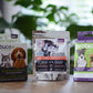 Vitality • Recovery • Joints care • Gut health • Oral care | Aging Dog