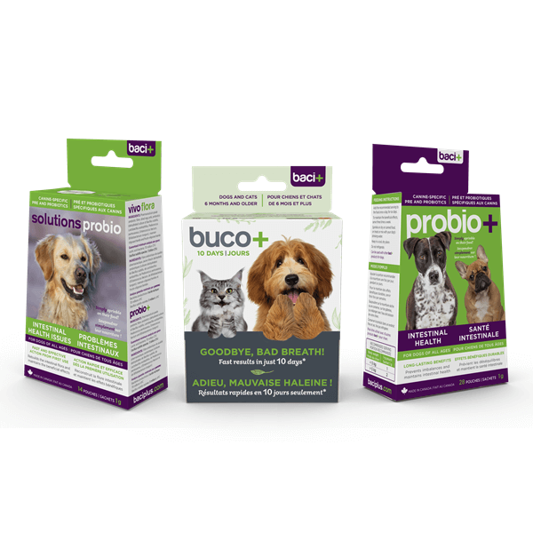 Probiotics for dogs bad hot sale breath