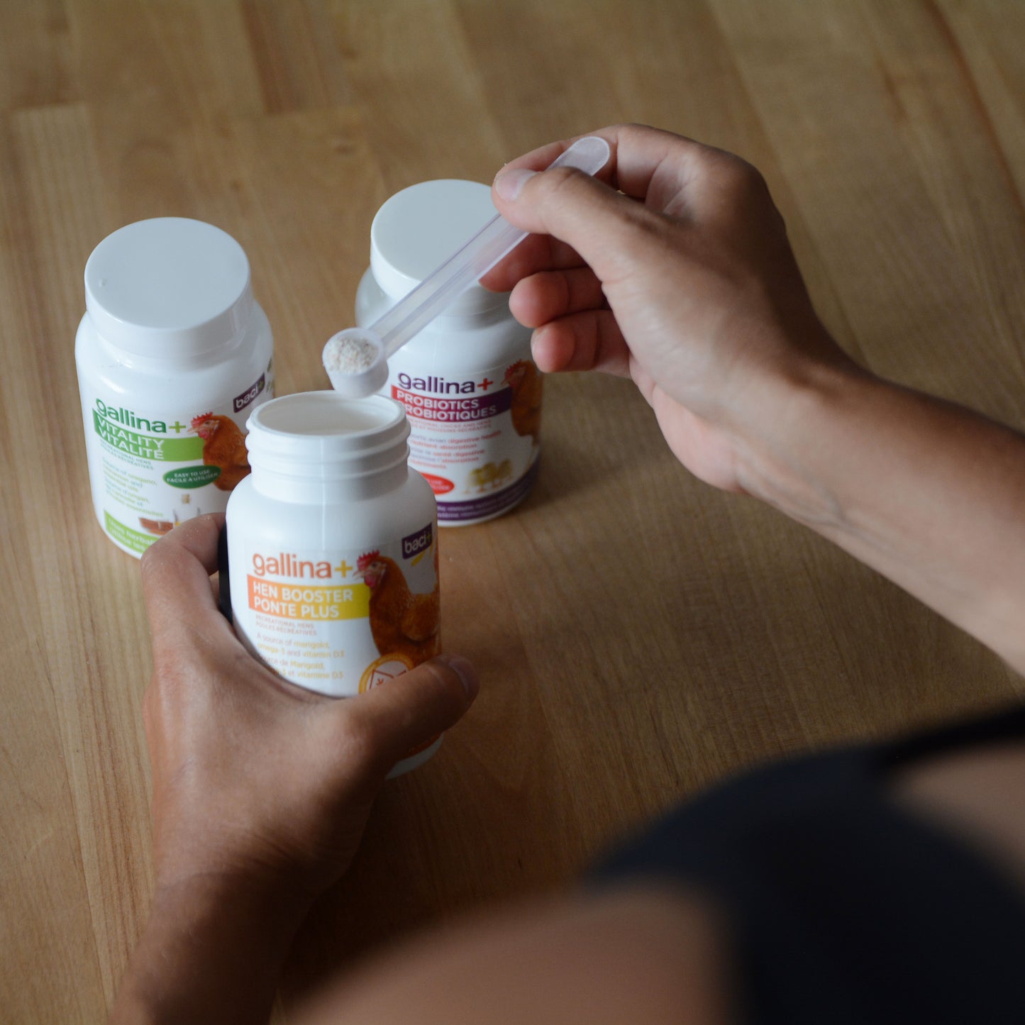 Vitalité • Santé immunitaire • maintien de la santé globale • optimisation de la production et des qualités nutritives des œufs | Poules