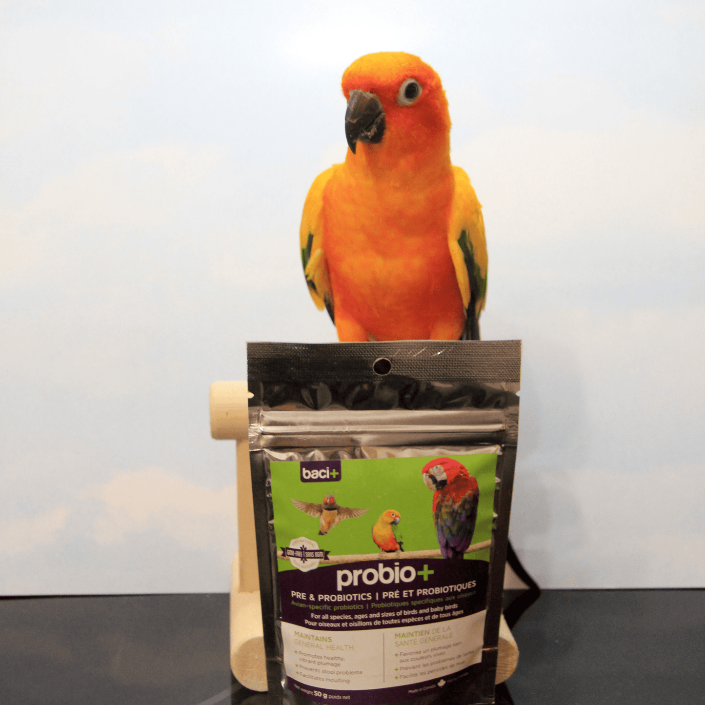 Pre and probiotics • Promotes and maintains a healthy intestinal flora  | Birds