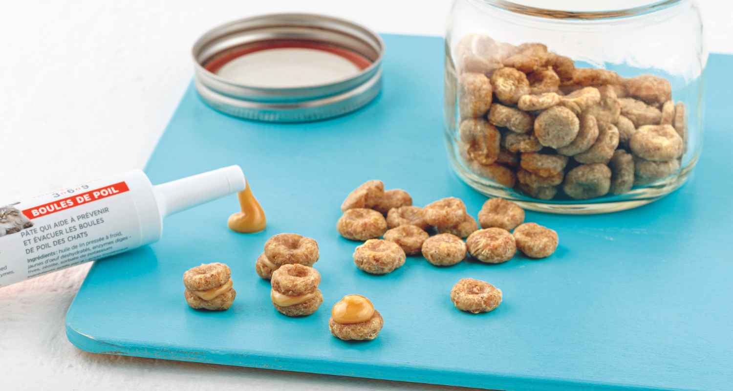 Biscuits-sandwichs au thon pour chats
