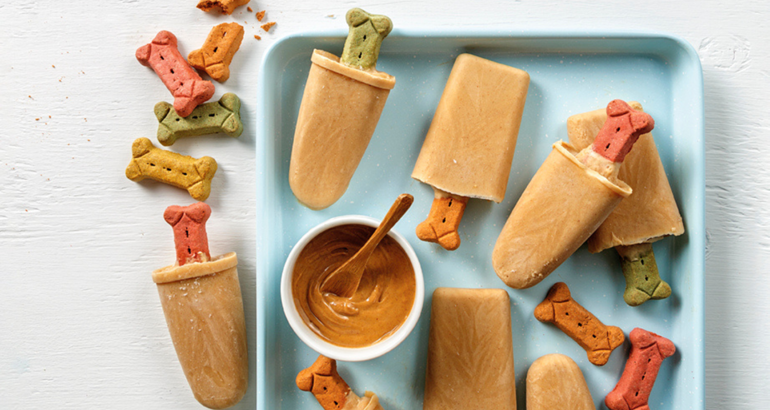 Pup-sicles au beurre d’arachide et bouillon de poulet pour chiens