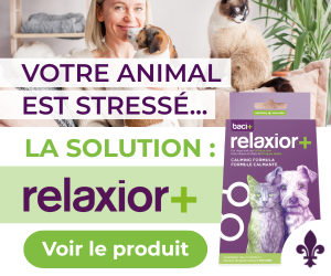 Votre animal est stressé? La solution : relaxior+
