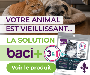 Votre animal est vieillissant? La solution : baci+ 3 en 1