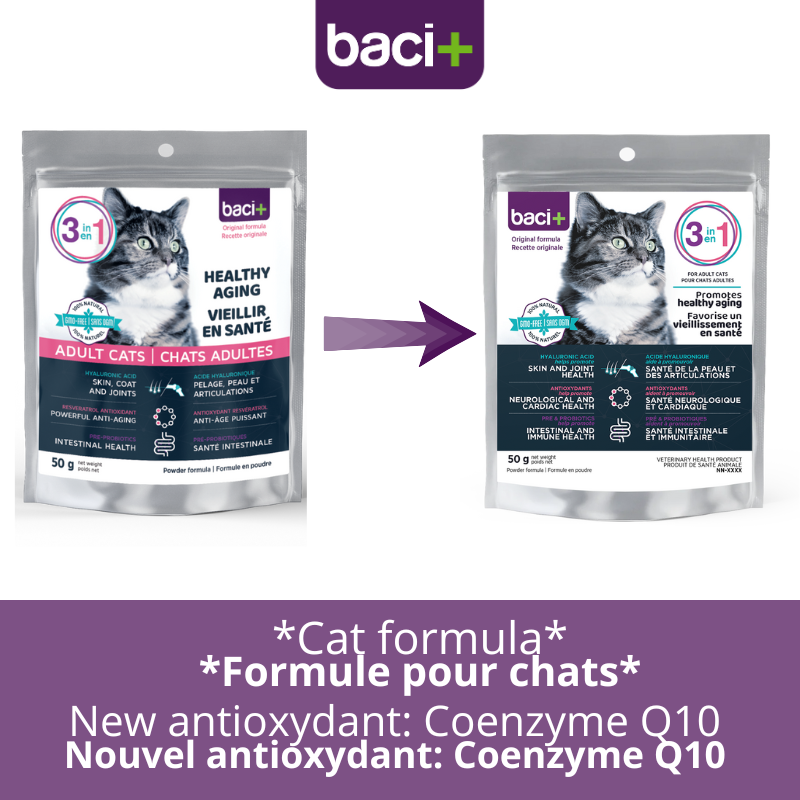 3 en 1 Vitalité, articulations et digestion pour chats