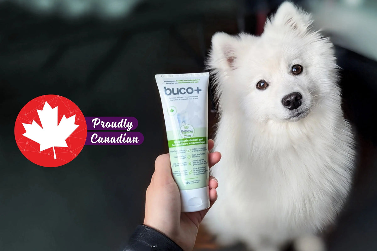 probio+ | pre and probiotics for dogs and cats