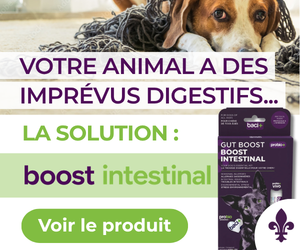 Votre animal a des imprévus digestifs? La solution : boost intestinal
