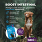 Gut boost kit | pre and probiotics | dogs