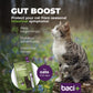 Gut boost kit | pre and probiotics | cats