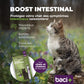 Gut boost kit | pre and probiotics | cats