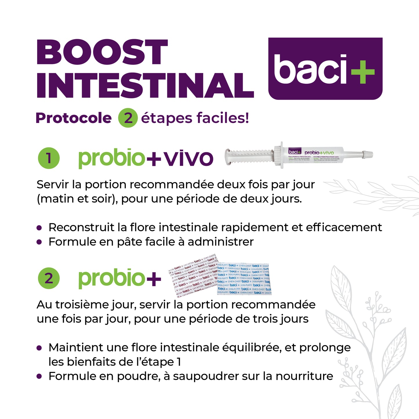 Gut boost kit | pre and probiotics | cats