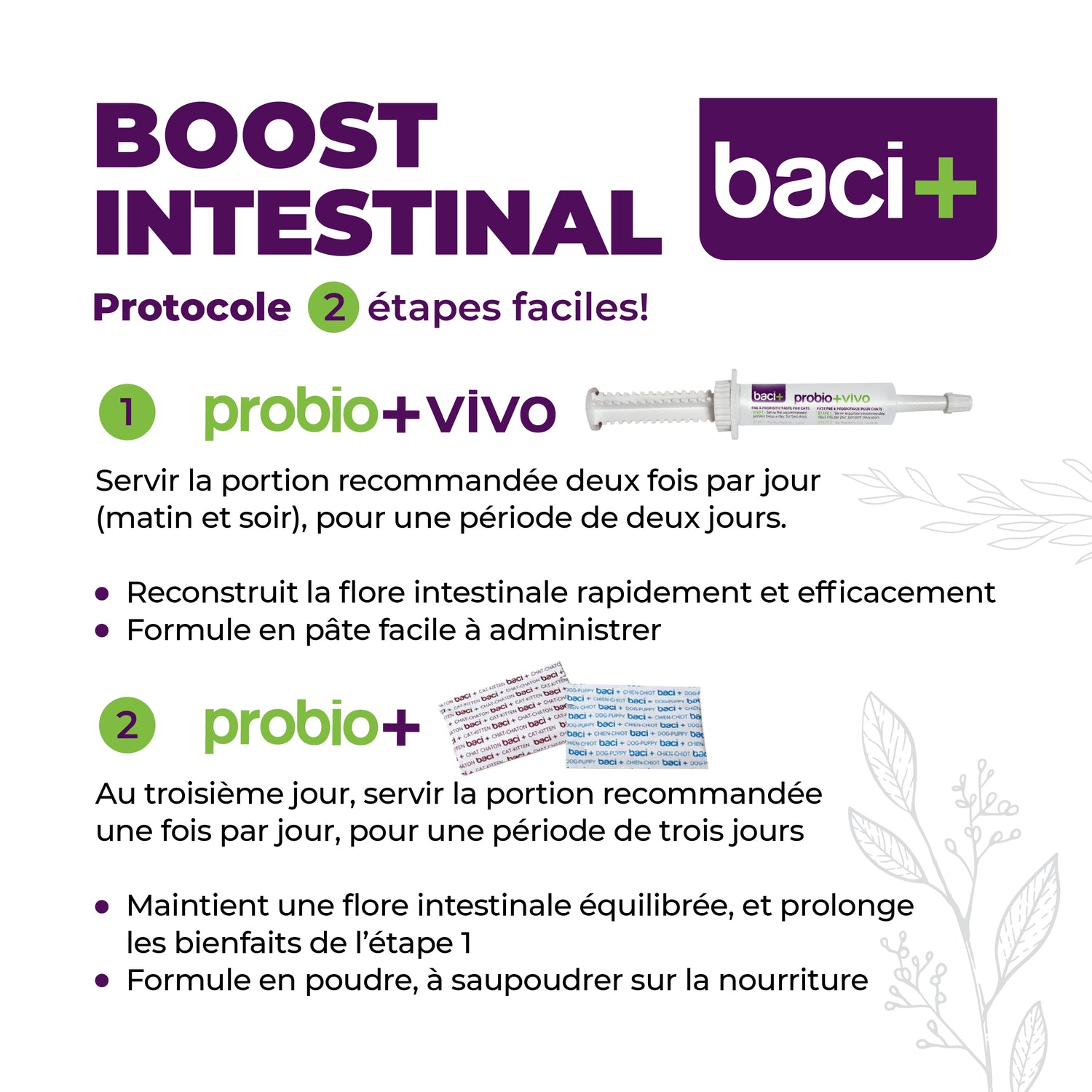 Gut boost kit | pre and probiotics | dogs