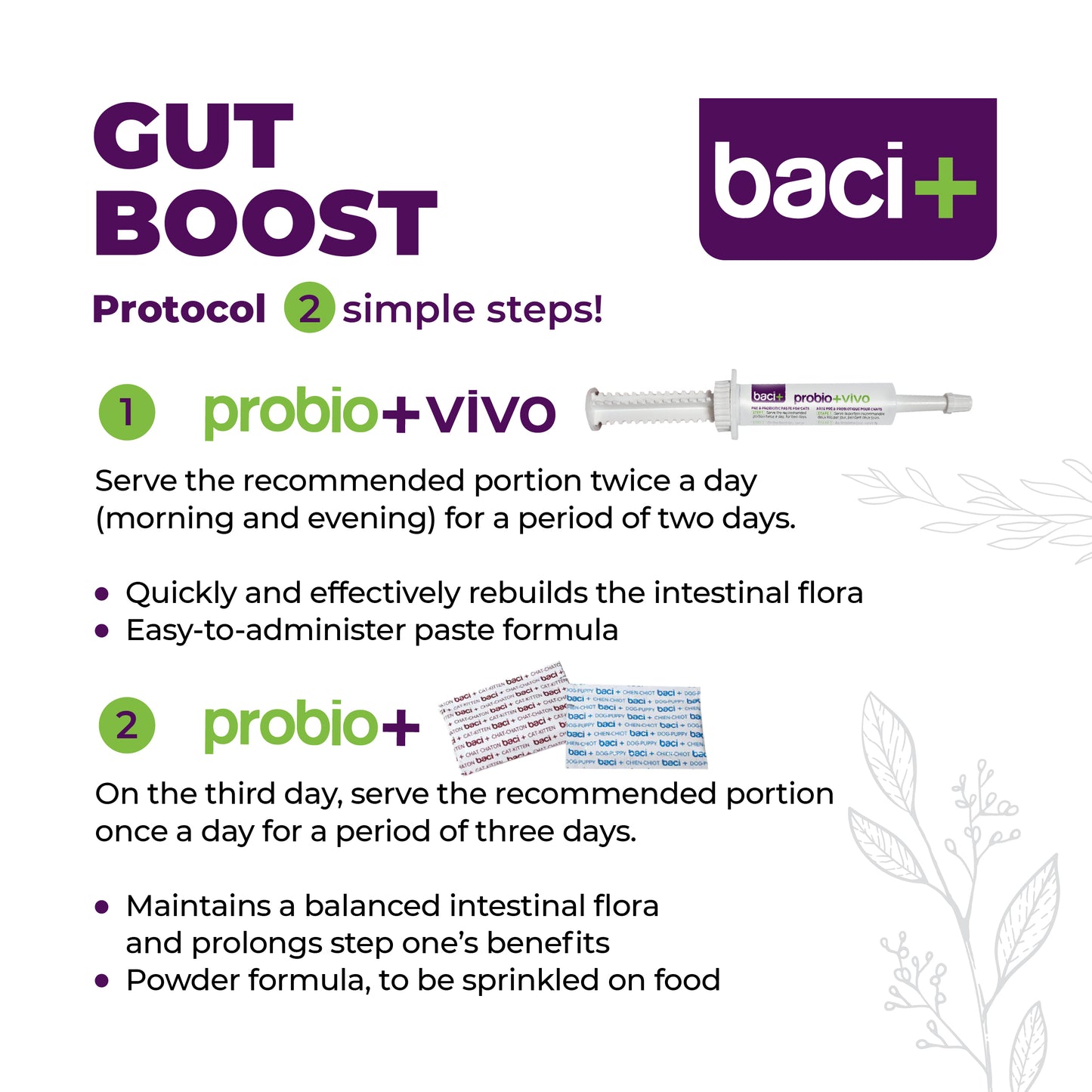 Gut boost kit | pre and probiotics | cats