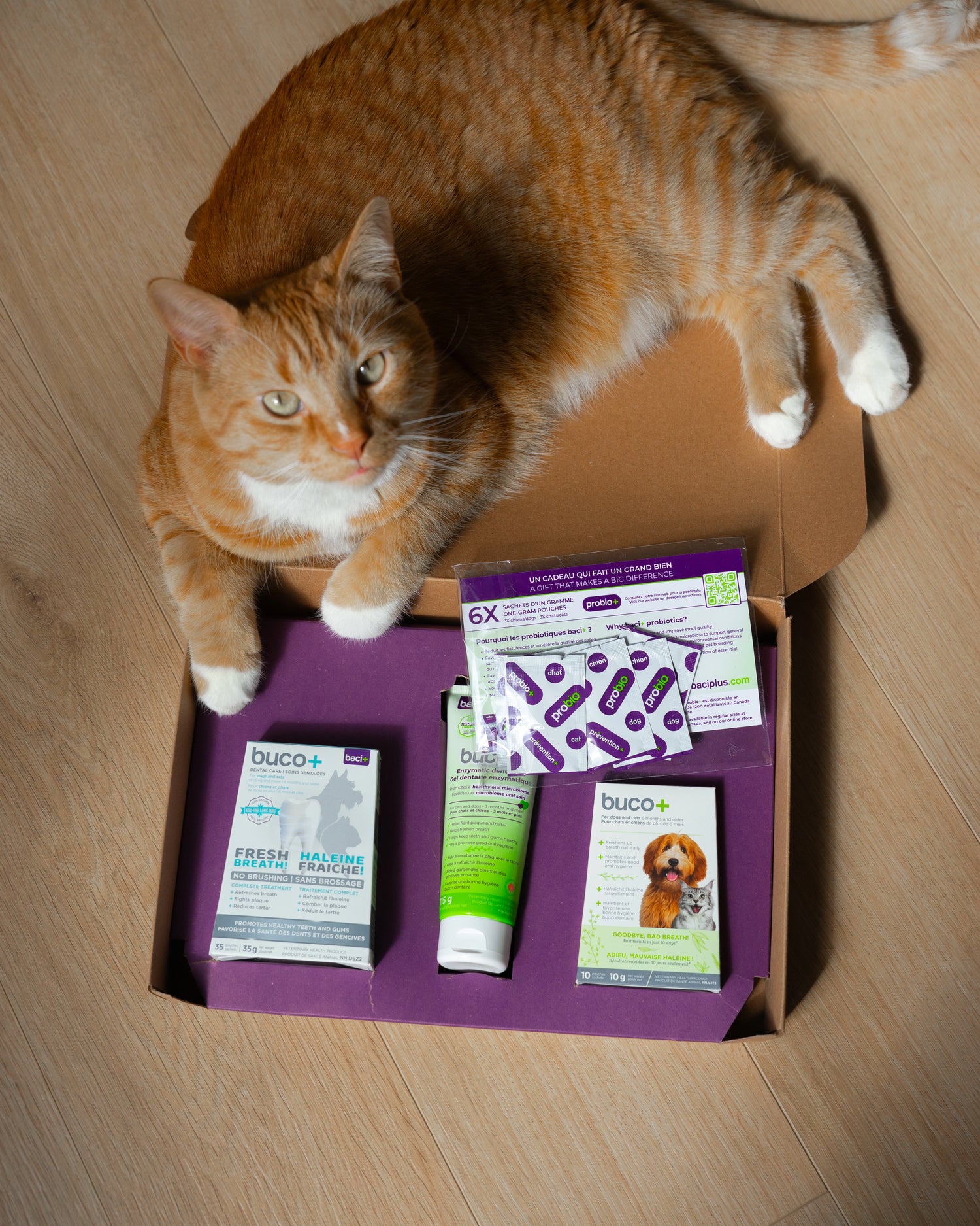 buco+ Oral Care Kit