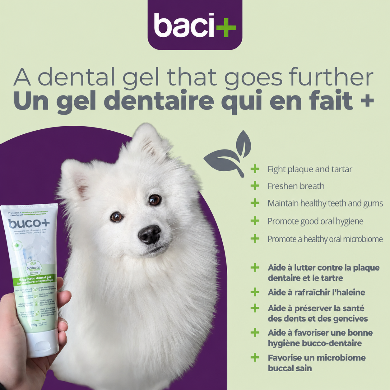 baci+ buco+ Gel Dentaire Enzymatique