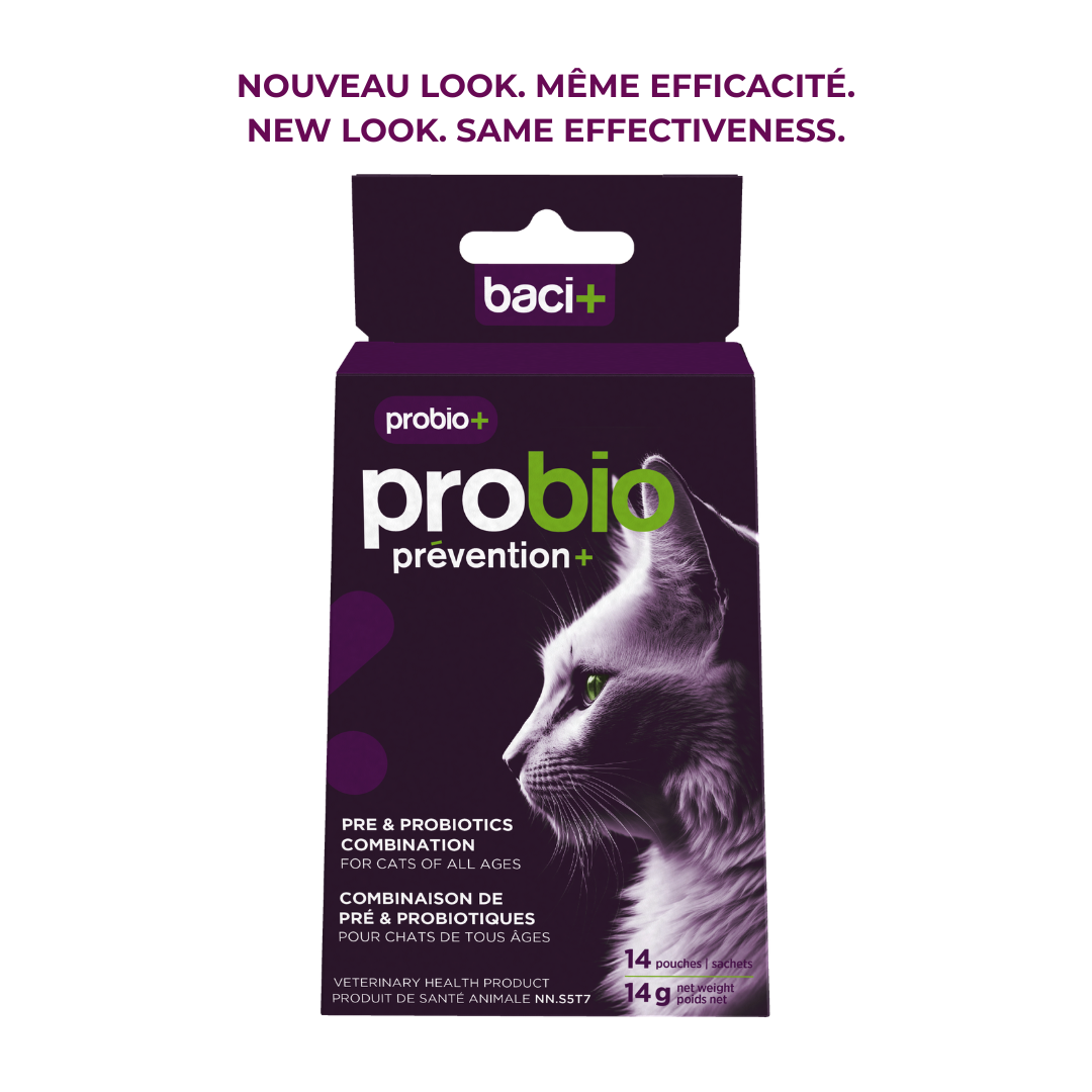 baci+ probio+ Pour Chats de Tous Âges