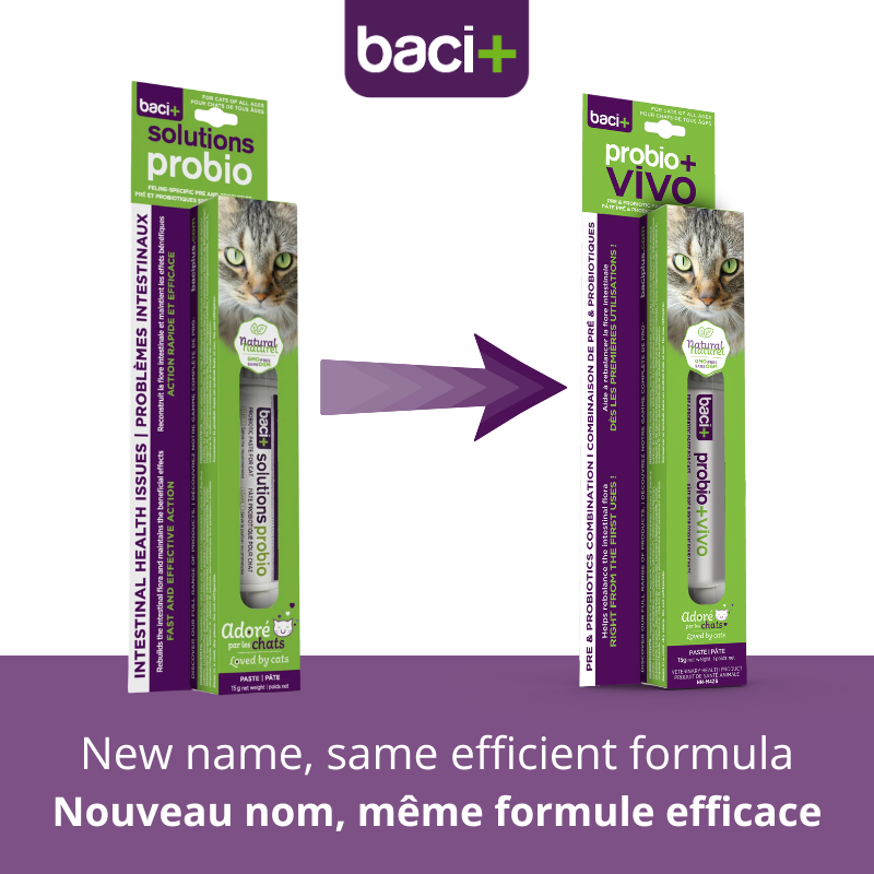 Pre and probiotics paste | Cats