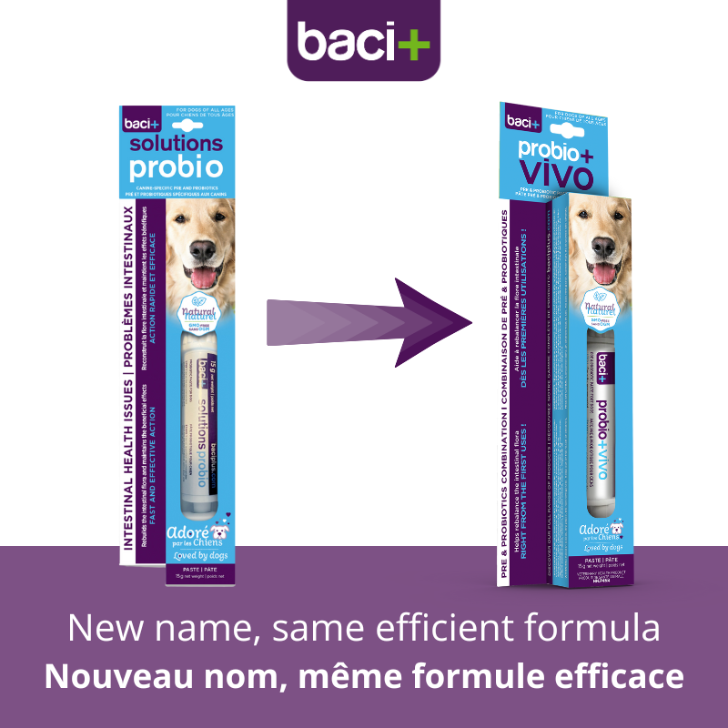 Pre and probiotics paste | Dogs