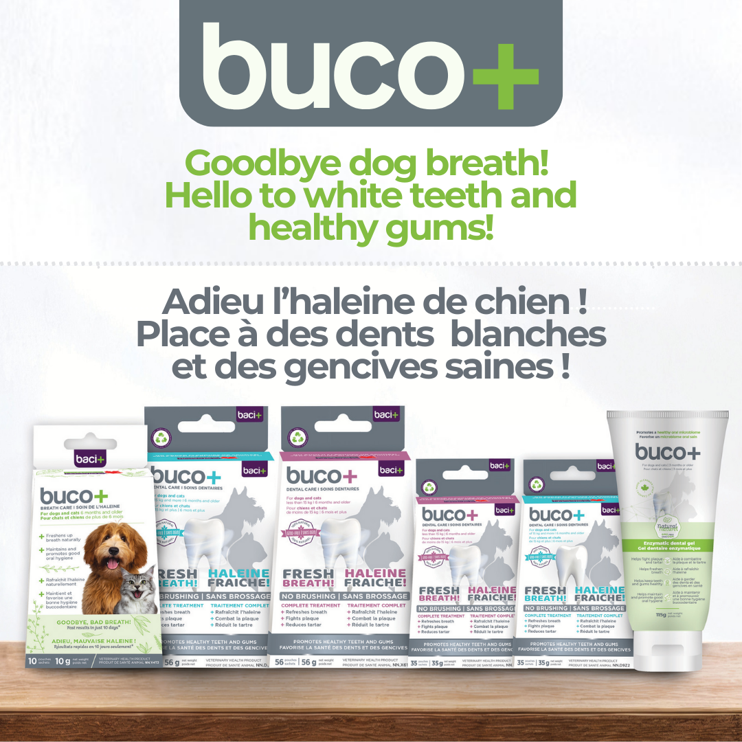 dental gel buco+ | enzymatic care | cats and dogs