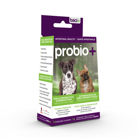 Pre and probiotics • Promotes and maintains a healthy intestinal flora  | Dogs