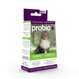 Pre and probiotics • Prevention and maintenance  | Cats