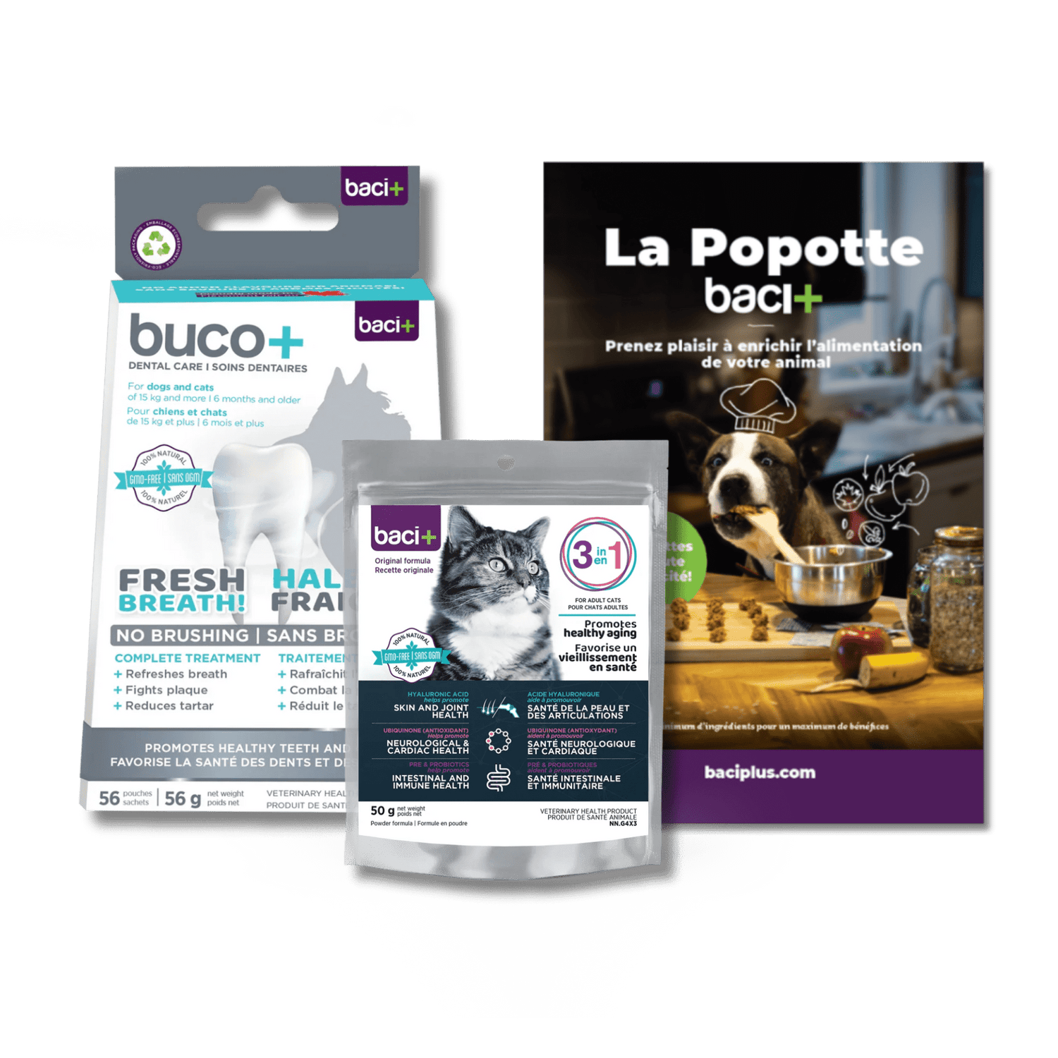 Trousse Bien-Être Essentiel : Santé buccodentaire & globale pour chats