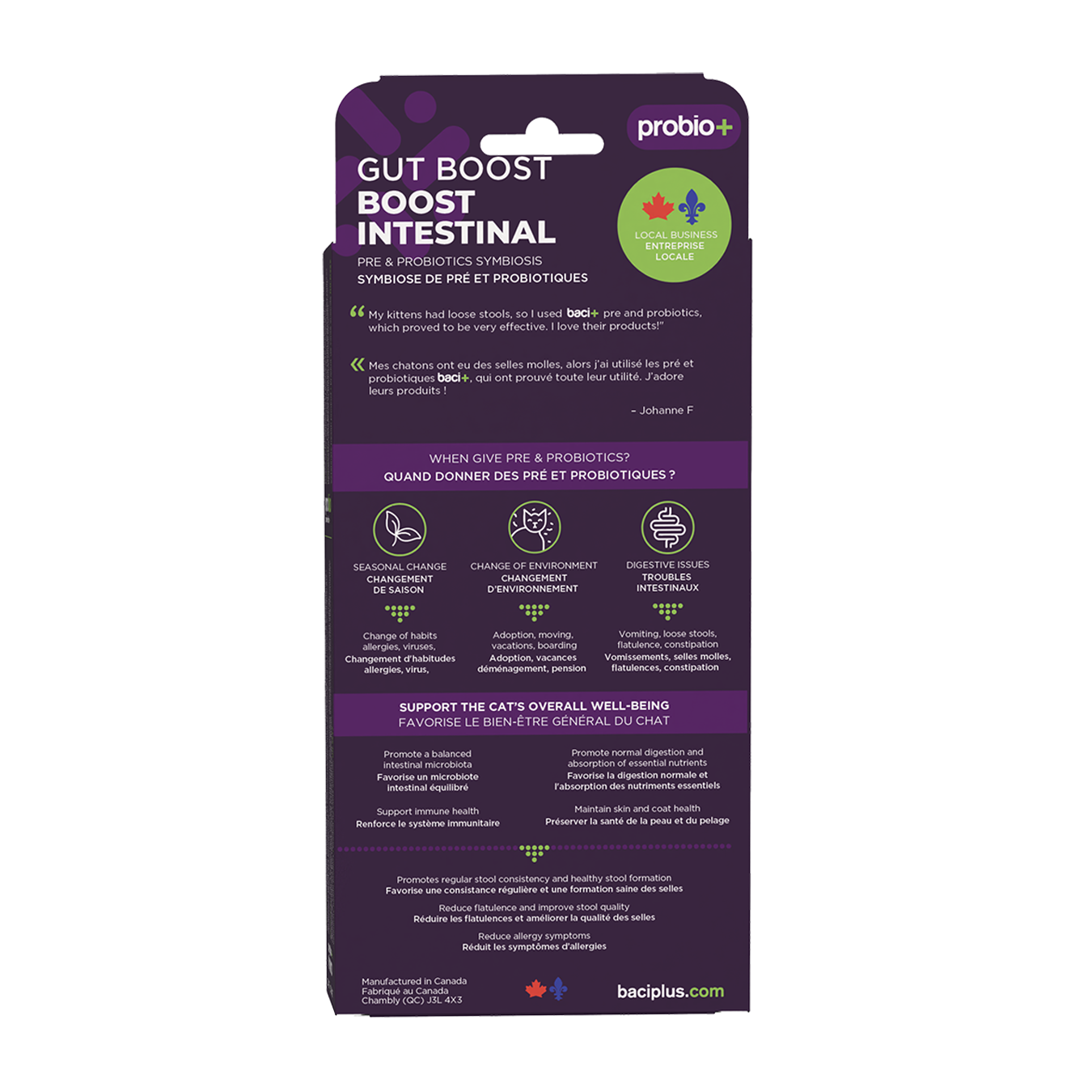 Gut boost kit | pre and probiotics | cats