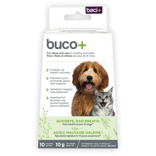 Bad breath treatment | Cats and dogs