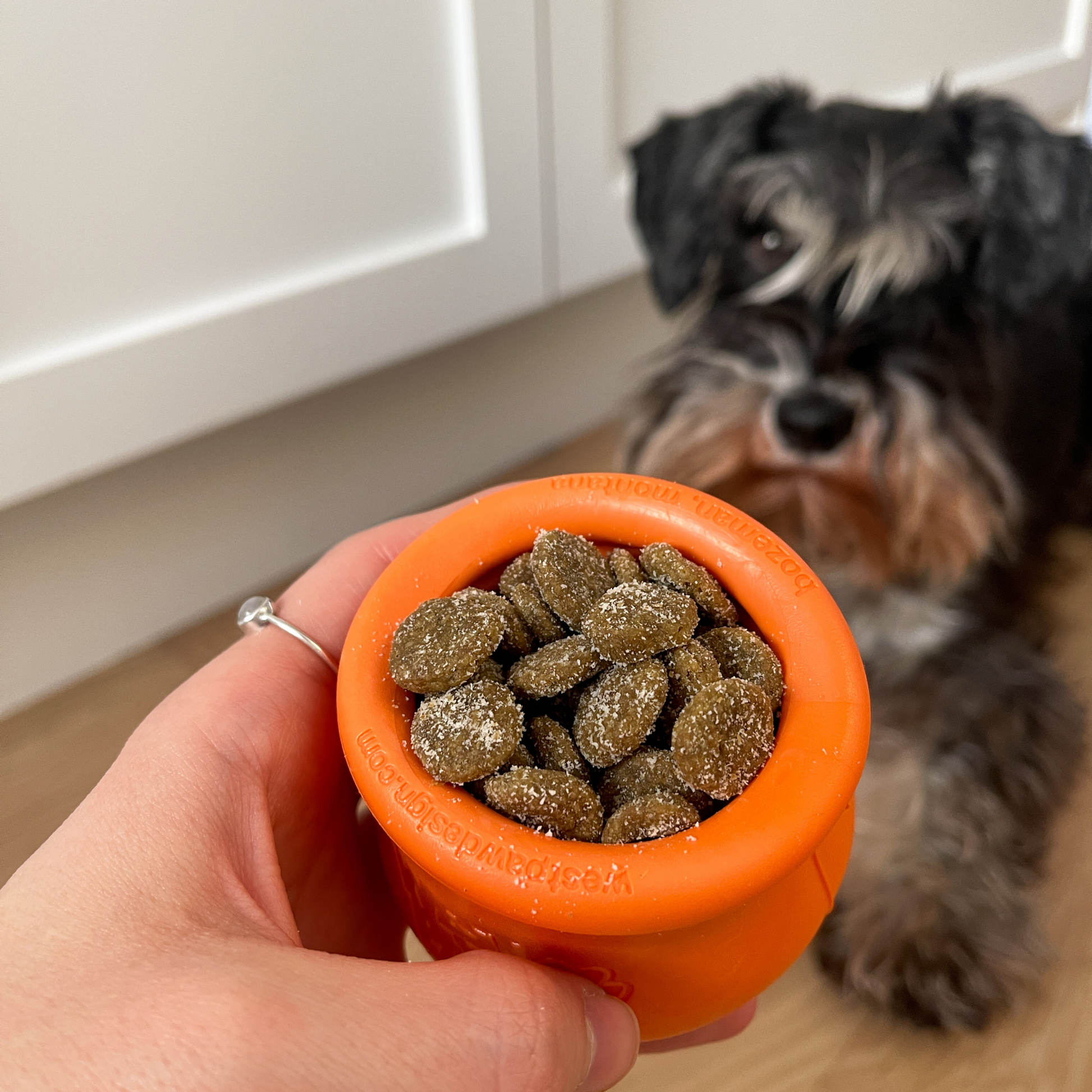 Dental food for sales dogs