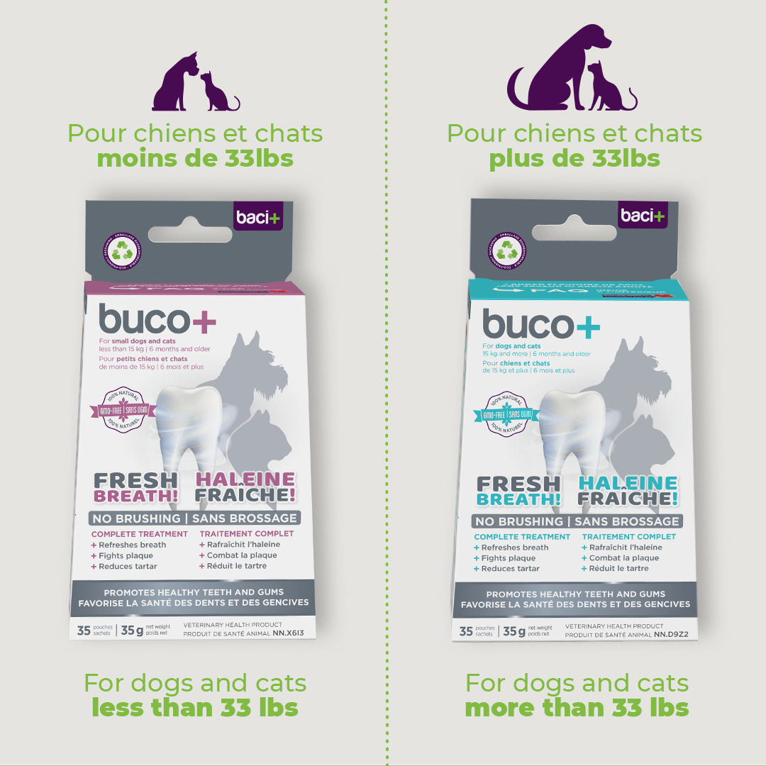 Dental care for cats and small dogs | buco+ | baci+