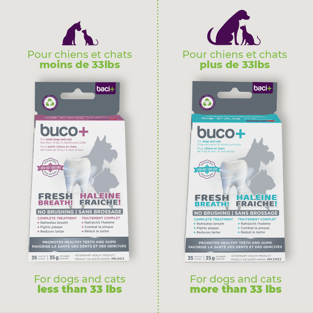 BACI+ - Buco+ Traitement pour hygiène dentaire (chien & chat